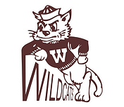 willie the wildcat 2023.png
